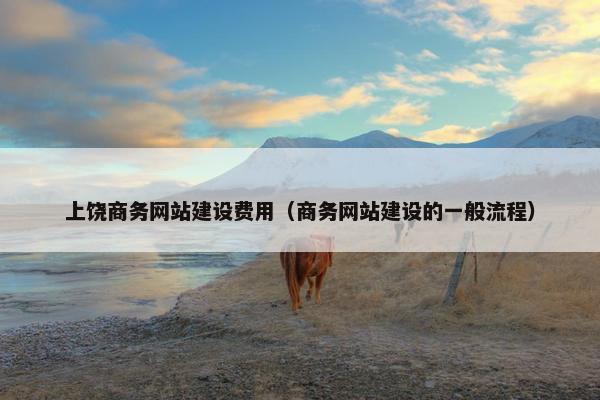 上饶商务网站建设费用（商务网站建设的一般流程）