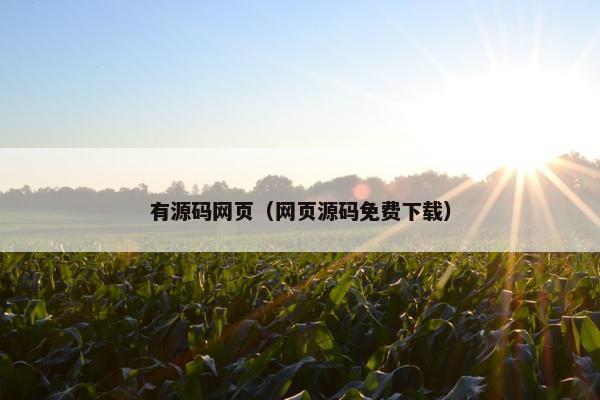 有源码网页（网页源码免费下载）