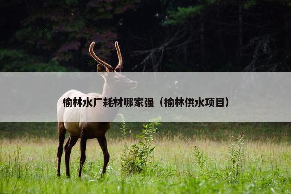 榆林水厂耗材哪家强（榆林供水项目）