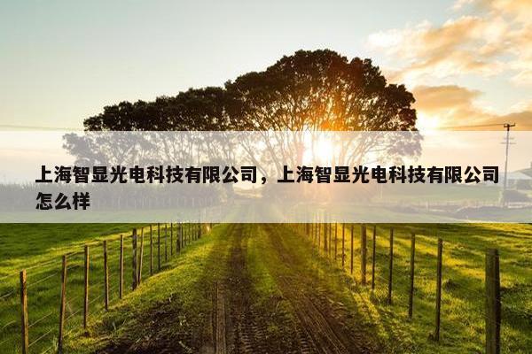 上海智显光电科技有限公司，上海智显光电科技有限公司怎么样