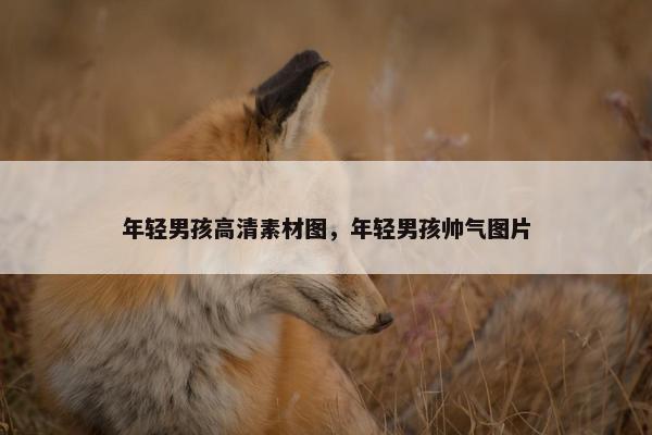 年轻男孩高清素材图，年轻男孩帅气图片