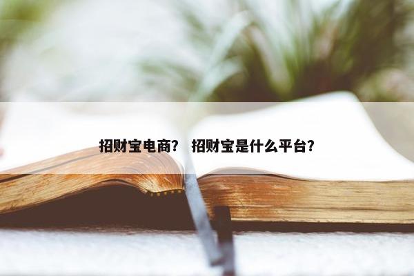 招财宝电商？ 招财宝是什么平台？