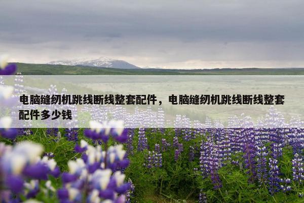 电脑缝纫机跳线断线整套配件，电脑缝纫机跳线断线整套配件多少钱