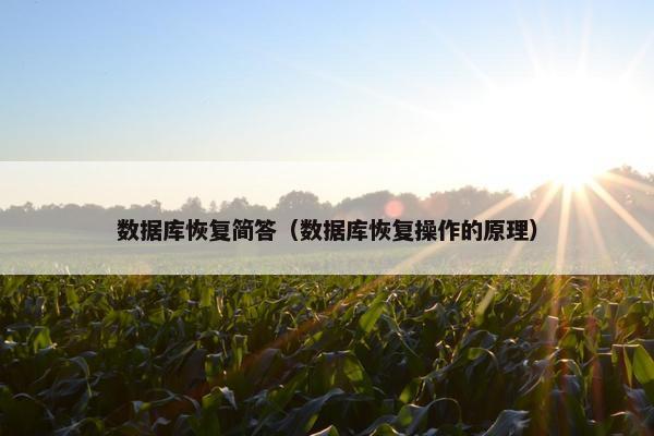 数据库恢复简答（数据库恢复操作的原理）
