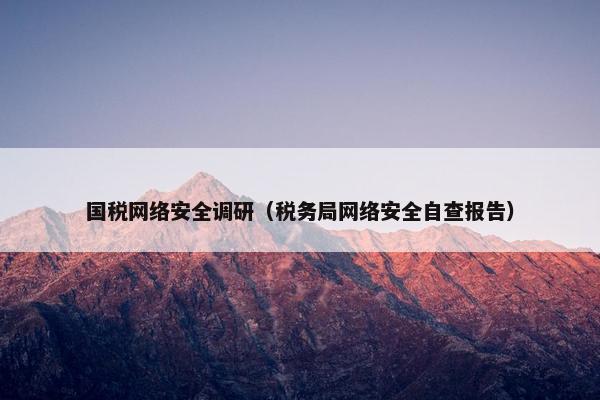 国税网络安全调研（税务局网络安全自查报告）