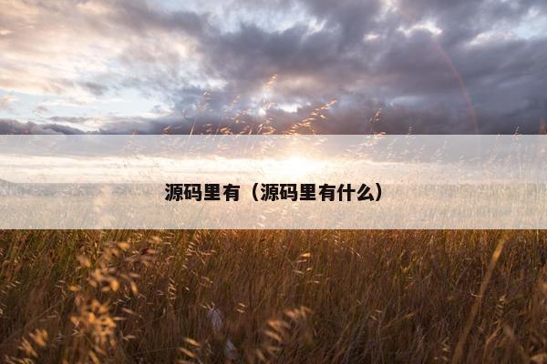 源码里有（源码里有什么）