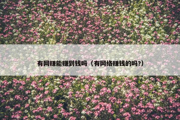 有网赚能赚到钱吗（有网络赚钱的吗?）