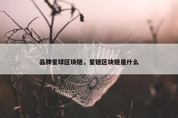 品牌星球区块链，星链区块链是什么