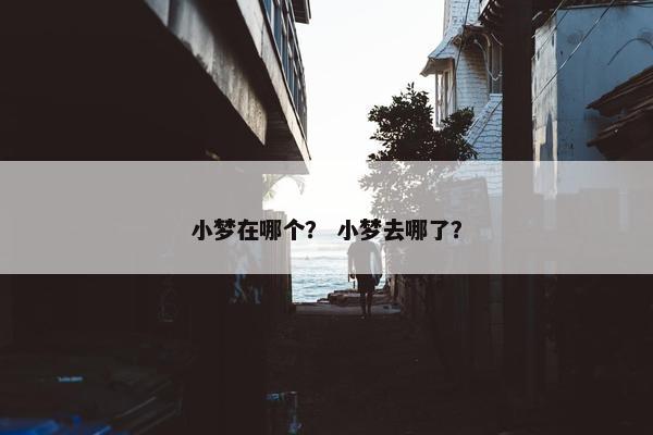 小梦在哪个？ 小梦去哪了？