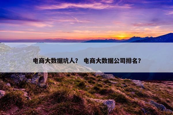 电商大数据坑人？ 电商大数据公司排名？