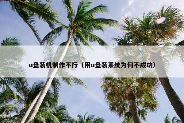 u盘装机制作不行（用u盘装系统为何不成功）