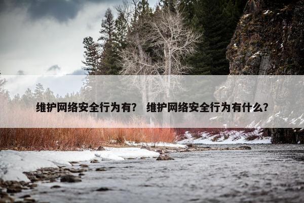 维护网络安全行为有？ 维护网络安全行为有什么？