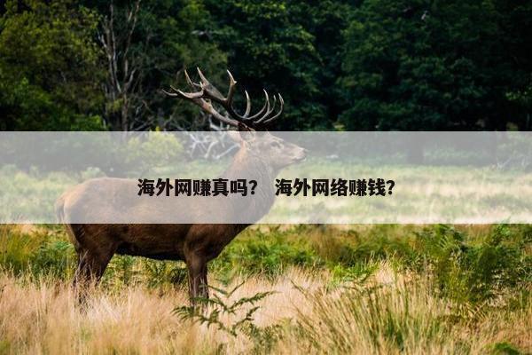 海外网赚真吗？ 海外网络赚钱？