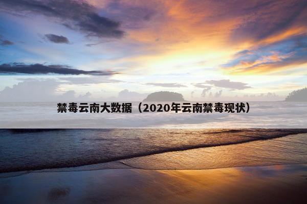 禁毒云南大数据（2020年云南禁毒现状）