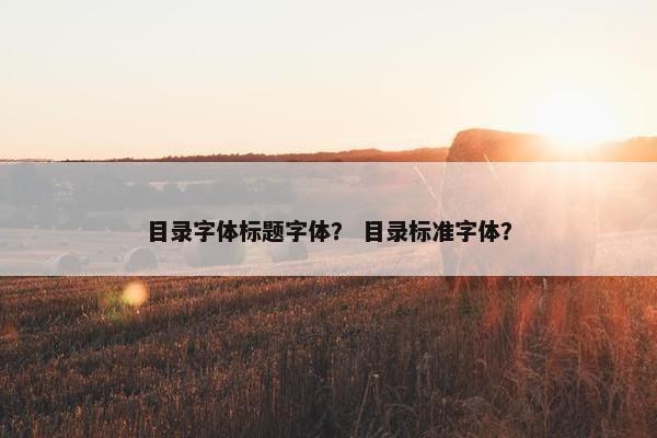目录字体标题字体？ 目录标准字体？
