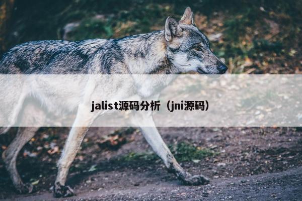 jalist源码分析（jni源码）