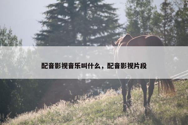 配音影视音乐叫什么，配音影视片段