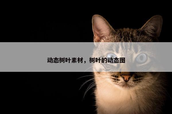 动态树叶素材，树叶的动态图