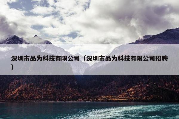 深圳市品为科技有限公司（深圳市品为科技有限公司招聘）