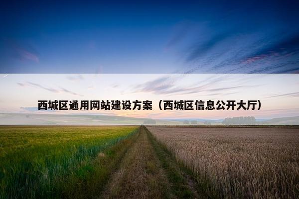 西城区通用网站建设方案（西城区信息公开大厅）