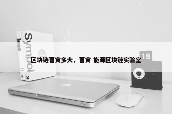 区块链曹寅多大，曹寅 能源区块链实验室