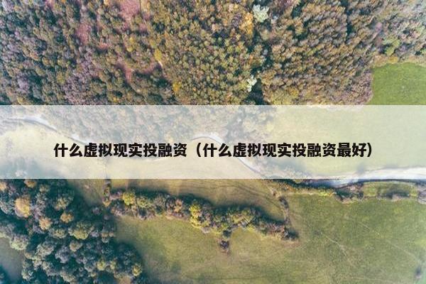 什么虚拟现实投融资（什么虚拟现实投融资最好）