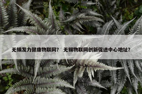 无锡发力健康物联网？ 无锡物联网创新促进中心地址？