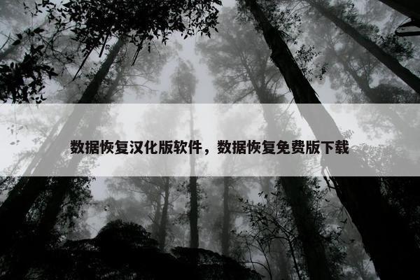 数据恢复汉化版软件，数据恢复免费版下载