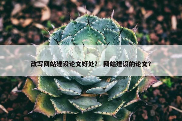 改写网站建设论文好处？ 网站建设的论文？