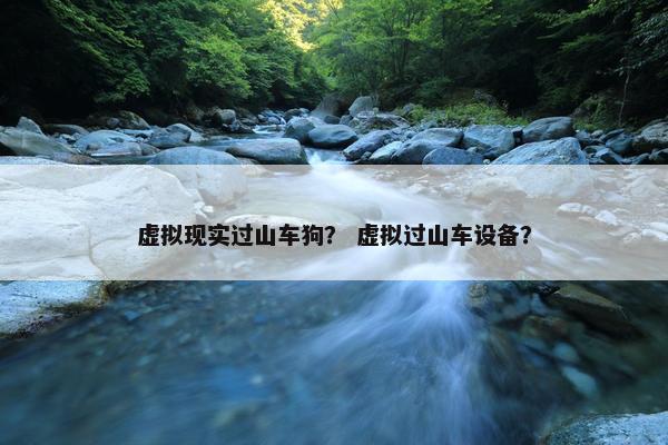 虚拟现实过山车狗？ 虚拟过山车设备？