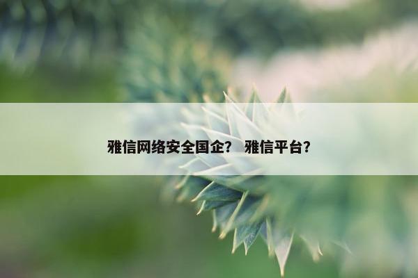雅信网络安全国企？ 雅信平台？