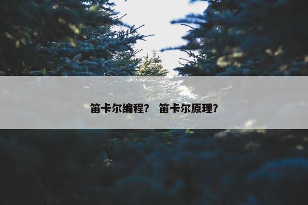 笛卡尔编程？ 笛卡尔原理？