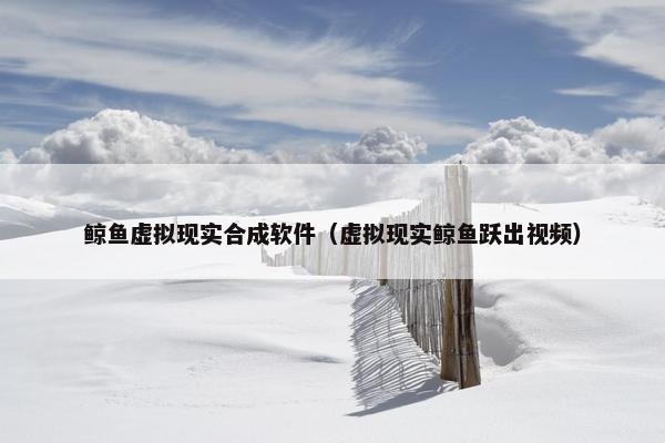 鲸鱼虚拟现实合成软件（虚拟现实鲸鱼跃出视频）