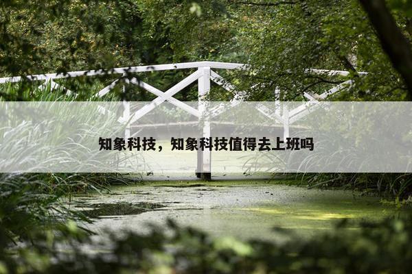 知象科技，知象科技值得去上班吗