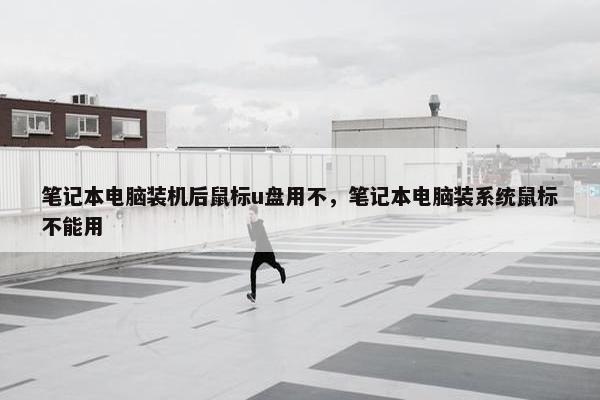 笔记本电脑装机后鼠标u盘用不，笔记本电脑装系统鼠标不能用