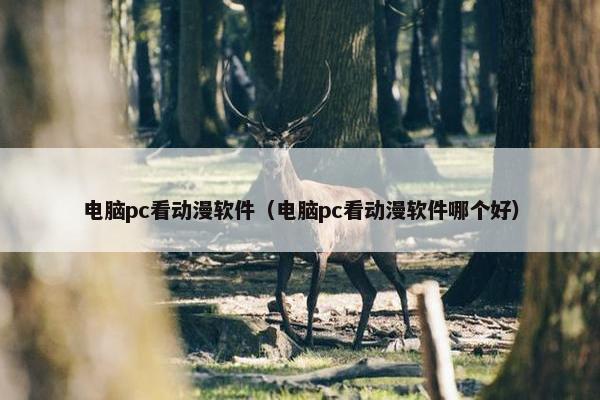 电脑pc看动漫软件（电脑pc看动漫软件哪个好）
