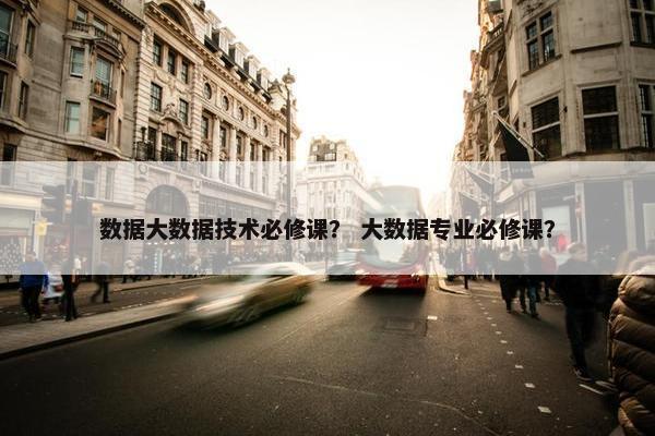 数据大数据技术必修课？ 大数据专业必修课？