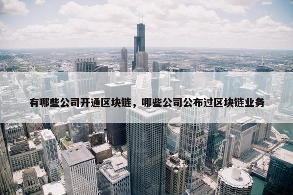 有哪些公司开通区块链，哪些公司公布过区块链业务