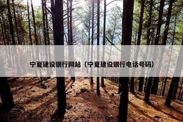 宁夏建设银行网站（宁夏建设银行电话号码）