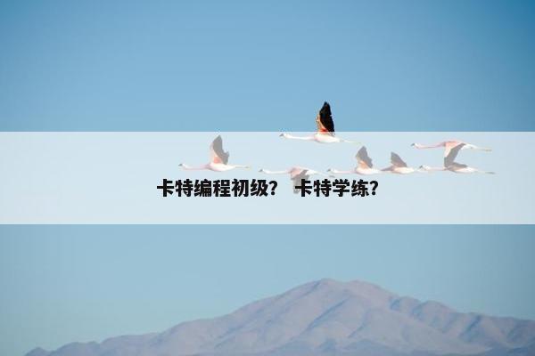 卡特编程初级？ 卡特学练？