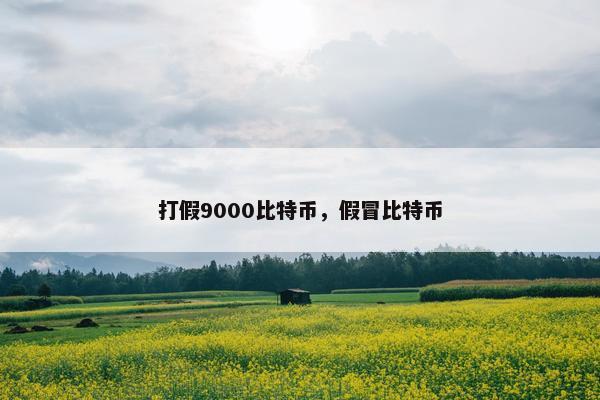 打假9000比特币，假冒比特币