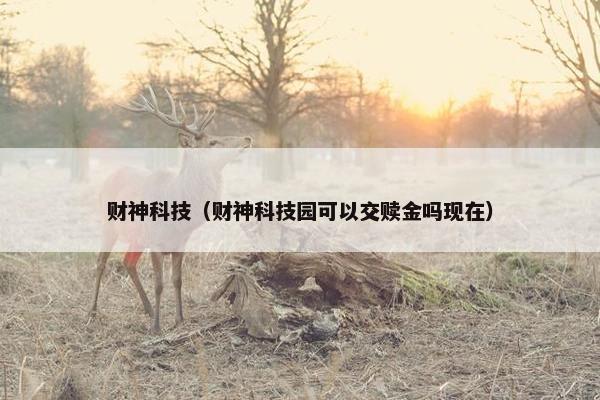 财神科技（财神科技园可以交赎金吗现在）