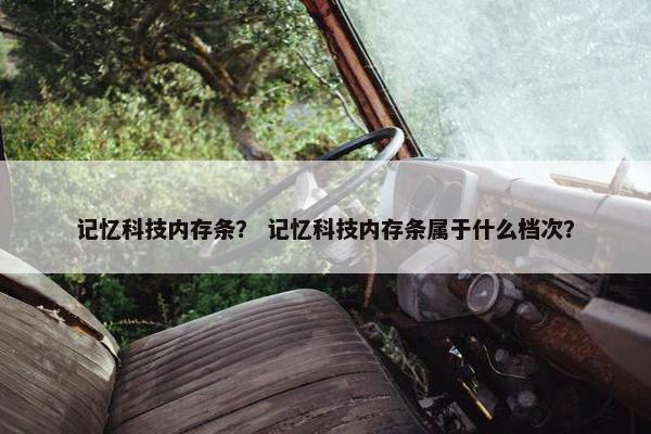记忆科技内存条？ 记忆科技内存条属于什么档次？