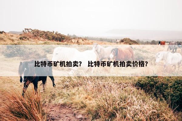 比特币矿机拍卖？ 比特币矿机拍卖价格？
