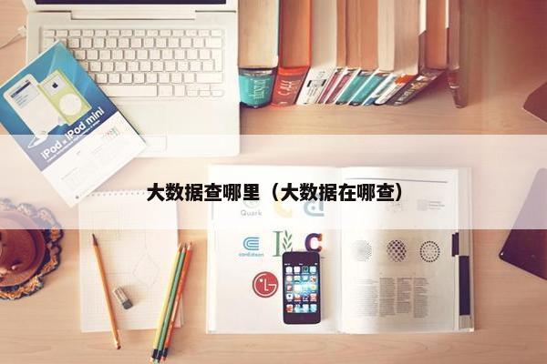 大数据查哪里（大数据在哪查）