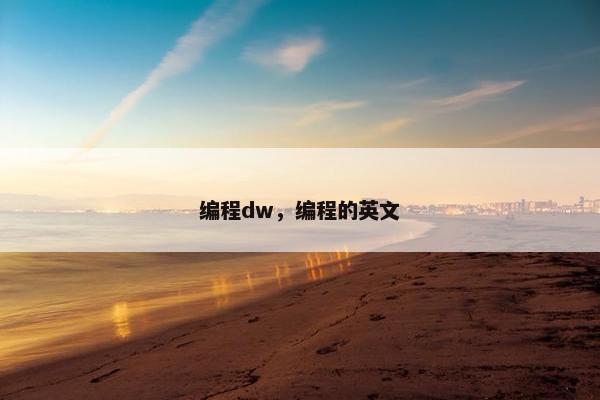 编程dw，编程的英文