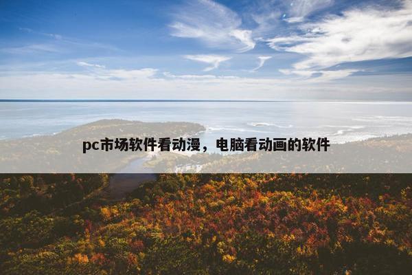 pc市场软件看动漫，电脑看动画的软件
