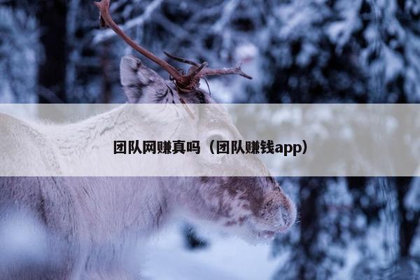 团队网赚真吗（团队赚钱app）