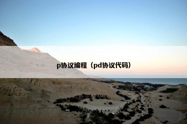 p协议编程（pd协议代码）