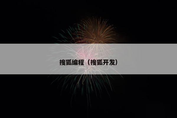 搜狐编程（搜狐开发）